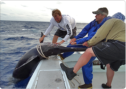 Angler fighting a fish offshore